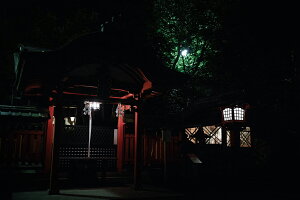 y{zA[gpl {[h artmart A[g}[g ʐ^ A~t[  Y R[fBl[g ǎ z EH[XebJ[ tHg   ItBX ze  a@ z[