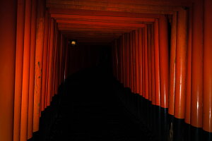 y{zA[gpl {[h artmart A[g}[g ʐ^ A~t[  Y R[fBl[g ǎ z EH[XebJ[ tHg   ItBX ze  a@ z[