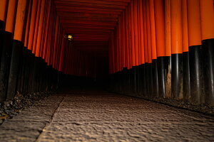 y{zA[gpl {[h artmart A[g}[g ʐ^ A~t[  Y R[fBl[g ǎ z EH[XebJ[ tHg   ItBX ze  a@ z[