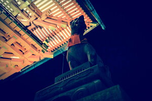 y{zA[gpl {[h artmart A[g}[g ʐ^ A~t[  Y R[fBl[g ǎ z EH[XebJ[ tHg   ItBX ze  a@ z[