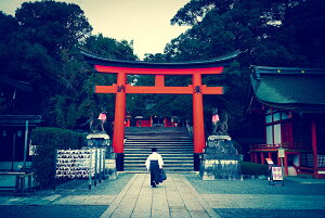 y{zA[gpl {[h artmart A[g}[g ʐ^ A~t[  Y R[fBl[g ǎ z EH[XebJ[ tHg   ItBX ze  a@ z[