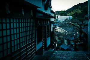 y{zA[gpl {[h artmart A[g}[g ʐ^ A~t[  Y R[fBl[g ǎ z EH[XebJ[ tHg   ItBX ze  a@ z[