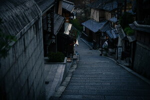 y{zA[gpl {[h artmart A[g}[g ʐ^ A~t[  Y R[fBl[g ǎ z EH[XebJ[ tHg   ItBX ze  a@ z[