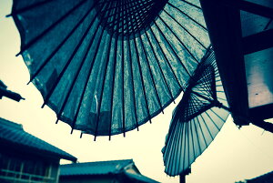 y{zA[gpl {[h artmart A[g}[g ʐ^ A~t[  Y R[fBl[g ǎ z EH[XebJ[ tHg   ItBX ze  a@ z[