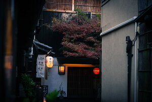 y{zA[gpl {[h artmart A[g}[g ʐ^ A~t[  Y R[fBl[g ǎ z EH[XebJ[ tHg   ItBX ze  a@ z[