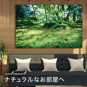 y{zA[gpl {[h artmart A[g}[g ʐ^ A~t[  Y R[fBl[g ǎ z EH[XebJ[ tHg   ItBX ze  a@ z[