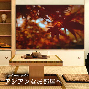 y{zA[gpl {[h artmart A[g}[g ʐ^ A~t[  Y R[fBl[g ǎ z EH[XebJ[ tHg   ItBX ze  a@ z[