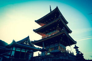 y{zA[gpl {[h artmart A[g}[g ʐ^ A~t[  Y R[fBl[g ǎ z EH[XebJ[ tHg   ItBX ze  a@ z[