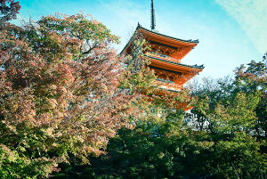 y{zA[gpl {[h artmart A[g}[g ʐ^ A~t[  Y R[fBl[g ǎ z EH[XebJ[ tHg   ItBX ze  a@ z[