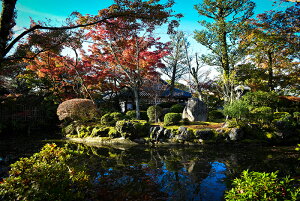 y{zA[gpl {[h artmart A[g}[g ʐ^ A~t[  Y R[fBl[g ǎ z EH[XebJ[ tHg   ItBX ze  a@ z[