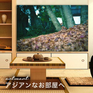 y{zA[gpl {[h artmart A[g}[g ʐ^ A~t[  Y R[fBl[g ǎ z EH[XebJ[ tHg   ItBX ze  a@ z[