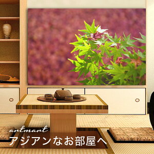 y{zA[gpl {[h artmart A[g}[g ʐ^ A~t[  Y R[fBl[g ǎ z EH[XebJ[ tHg   ItBX ze  a@ z[