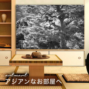 y{zA[gpl {[h artmart A[g}[g ʐ^ A~t[  Y R[fBl[g ǎ z EH[XebJ[ tHg   ItBX ze  a@ z[