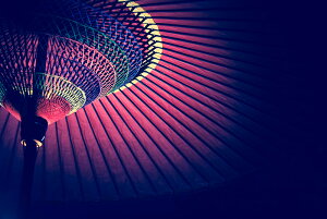 y{zA[gpl {[h artmart A[g}[g ʐ^ A~t[  Y R[fBl[g ǎ z EH[XebJ[ tHg   ItBX ze  a@ z[
