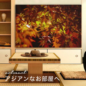 y{zA[gpl {[h artmart A[g}[g ʐ^ A~t[  Y R[fBl[g ǎ z EH[XebJ[ tHg   ItBX ze  a@ z[