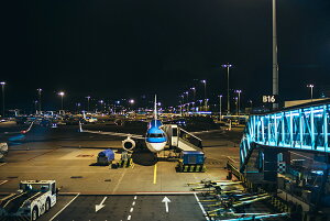 y{zA[gpl {[h artmart A[g}[g ʐ^ A~t[  Y R[fBl[g ǎ z EH[XebJ[ tHg   ItBX ze  a@ z[