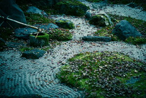 y{zA[gpl {[h artmart A[g}[g ʐ^ A~t[  Y R[fBl[g ǎ z EH[XebJ[ tHg   ItBX ze  a@ z[