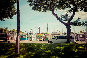 y{zA[gpl {[h artmart A[g}[g ʐ^ A~t[  Y R[fBl[g ǎ z EH[XebJ[ tHg   ItBX ze  a@ z[