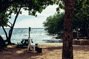 y{zA[gpl {[h artmart A[g}[g ʐ^ A~t[  Y R[fBl[g ǎ z EH[XebJ[ tHg   ItBX ze  a@ z[