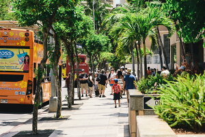 y{zA[gpl {[h artmart A[g}[g ʐ^ A~t[  Y R[fBl[g ǎ z EH[XebJ[ tHg   ItBX ze  a@ z[