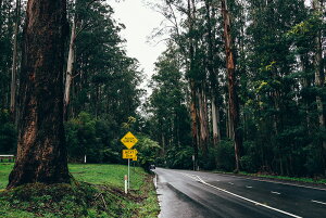 �y���{���z�A�[�g�p�l�� �{�[�h artmart �A�[�g�}�[�g �ʐ^ �A���~�t���[�� ������� �Y�� �R�[�f�B�l�[�g �ǎ� �z�� �E�H�[���X�e�b�J�[ �t�H�g ���� ���� �I�t�B�X �z�e�� ���� �a�@ �z�[��