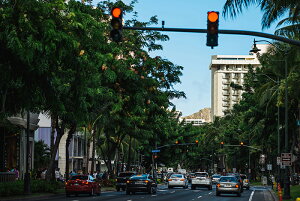 y{zA[gpl {[h artmart A[g}[g ʐ^ A~t[  Y R[fBl[g ǎ z EH[XebJ[ tHg   ItBX ze  a@ z[