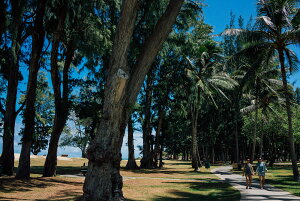 y{zA[gpl {[h artmart A[g}[g ʐ^ A~t[  Y R[fBl[g ǎ z EH[XebJ[ tHg   ItBX ze  a@ z[