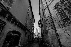 y{zA[gpl {[h artmart A[g}[g ʐ^ A~t[  Y R[fBl[g ǎ z EH[XebJ[ tHg   ItBX ze  a@ z[