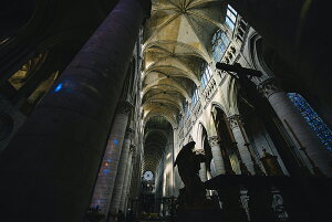 y{zA[gpl {[h artmart A[g}[g ʐ^ A~t[  Y R[fBl[g ǎ z EH[XebJ[ tHg   ItBX ze  a@ z[