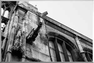 y{zA[gpl {[h artmart A[g}[g ʐ^ A~t[  Y R[fBl[g ǎ z EH[XebJ[ tHg   ItBX ze  a@ z[