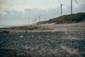 y{zA[gpl {[h artmart A[g}[g ʐ^ A~t[  Y R[fBl[g ǎ z EH[XebJ[ tHg   ItBX ze  a@ z[