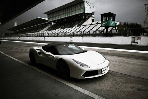 tF[ 488 GTB XpC_[ JX^y{zA[g{[h A[gpl artmart A[g}[g Gʐ^A~t[ŕ\Bǎ z EH[XebJ[ tHgt[ł