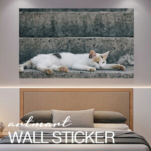 EH[XebJ[ A[gpl A[g ǎV[ ǃV[ CeA XebJ[ ʐ^  ǎ k R   lC Y  Vbv rO ItBX _CjO 