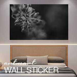 EH[XebJ[ A[gpl A[g ǎV[ ǃV[ CeA XebJ[ ʐ^  ǎ k R   lC Y  Vbv rO ItBX _CjO 