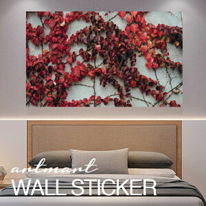 EH[XebJ[ A[gpl A[g ǎV[ ǃV[ CeA XebJ[ ʐ^  ǎ k R   lC Y  Vbv rO ItBX _CjO 