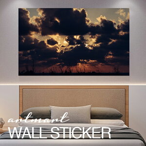 EH[XebJ[ A[gpl A[g ǎV[ ǃV[ CeA XebJ[ ʐ^  ǎ k R   lC Y  Vbv rO ItBX _CjO 