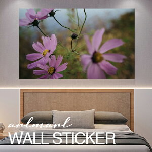 EH[XebJ[ A[gpl A[g ǎV[ ǃV[ CeA XebJ[ ʐ^  ǎ k R   lC Y  Vbv rO ItBX _CjO 