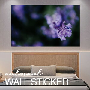 EH[XebJ[ A[gpl A[g ǎV[ ǃV[ CeA XebJ[ ʐ^  ǎ k R   lC Y  Vbv rO ItBX _CjO 