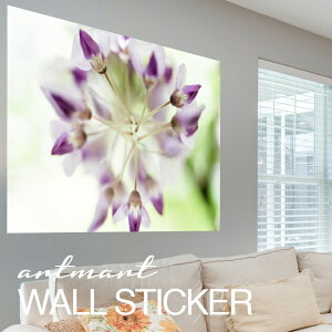 EH[XebJ[ A[gpl A[g ǎV[ ǃV[ CeA XebJ[ ʐ^  ǎ k R   lC Y  Vbv rO ItBX _CjO 