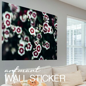 EH[XebJ[ A[gpl A[g ǎV[ ǃV[ CeA XebJ[ ʐ^  ǎ k R   lC Y  Vbv rO ItBX _CjO 