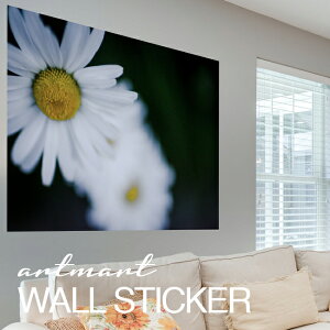 EH[XebJ[ A[gpl A[g ǎV[ ǃV[ CeA XebJ[ ʐ^  ǎ k R   lC Y  Vbv rO ItBX _CjO 