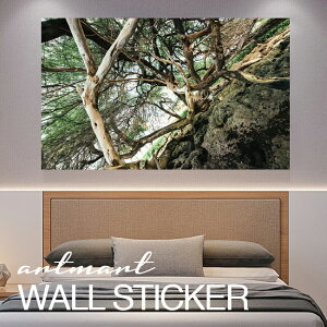 EH[XebJ[ A[gpl A[g ǎV[ ǃV[ CeA XebJ[ ʐ^  ǎ k R   lC Y  Vbv rO ItBX _CjO 