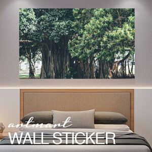 EH[XebJ[ A[gpl A[g ǎV[ ǃV[ CeA XebJ[ ʐ^  ǎ k R   lC Y  Vbv rO ItBX _CjO 