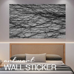 EH[XebJ[ A[gpl A[g ǎV[ ǃV[ CeA XebJ[ ʐ^  ǎ k R   lC Y  Vbv rO ItBX _CjO 