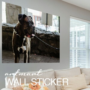 EH[XebJ[ A[gpl A[g ǎV[ ǃV[ CeA XebJ[ ʐ^  ǎ k R   lC Y  Vbv rO ItBX _CjO 