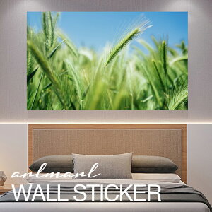 EH[XebJ[ A[gpl A[g ǎV[ ǃV[ CeA XebJ[ ʐ^  ǎ k R   lC Y  Vbv rO ItBX _CjO 