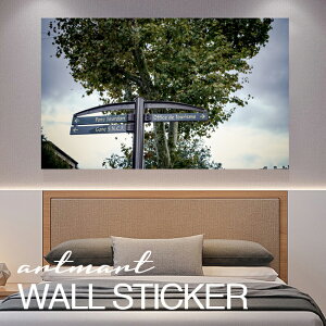 EH[XebJ[ A[gpl A[g ǎV[ ǃV[ CeA XebJ[ ʐ^  ǎ k R   lC Y  Vbv rO ItBX _CjO 