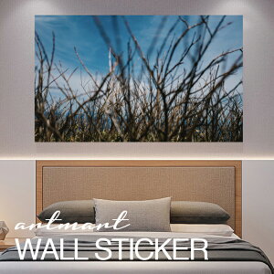 EH[XebJ[ A[gpl A[g ǎV[ ǃV[ CeA XebJ[ ʐ^  ǎ k R   lC Y  Vbv rO ItBX _CjO 