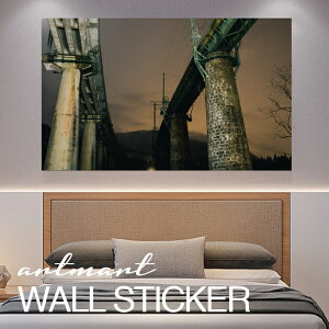 EH[XebJ[ A[gpl A[g ǎV[ ǃV[ CeA XebJ[ ʐ^  ǎ k R   lC Y  Vbv rO ItBX _CjO 