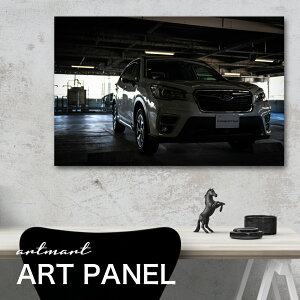 tHX^[ SK9/SKE ^ JX^y{zA[g{[h A[gpl artmart A[g}[g Gʐ^A~t[ŕ\B ǎ z EH[XebJ[ tHg Ǌ|ł̃C